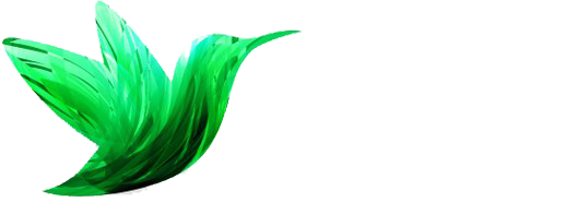 Noho Dental Group